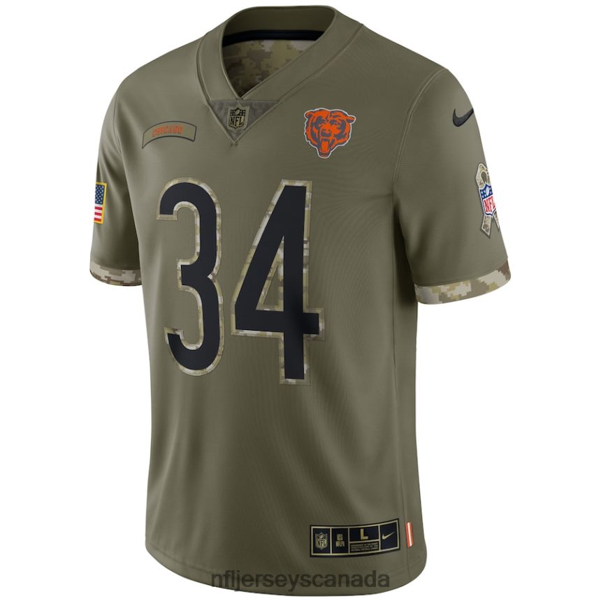 Men Chicago Bears Walter Payton Nike Olive 2022 Salute To Service Retired Player Limited Jersey Clothing NFL TBXFR64176