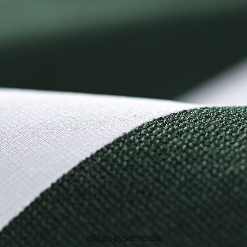 Men Green Bay Packers Aaron Rodgers Nike Green Game Player Jersey Clothing NFL TBXFR680