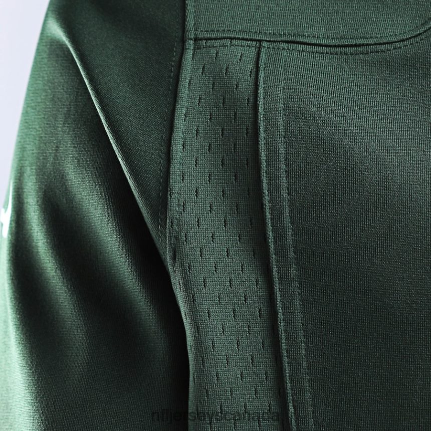 Men Green Bay Packers Aaron Rodgers Nike Green Game Player Jersey Clothing NFL TBXFR680