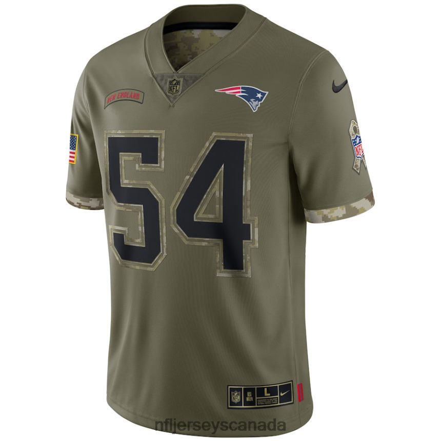 Men New England Patriots Tedy Bruschi Nike Olive 2022 Salute To Service Retired Player Limited Jersey Clothing NFL TBXFR61775